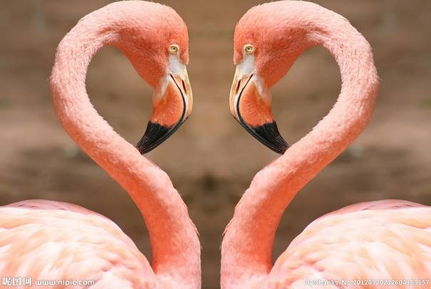 ���, ��������