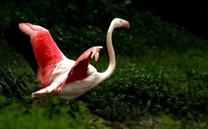 ���, ��������