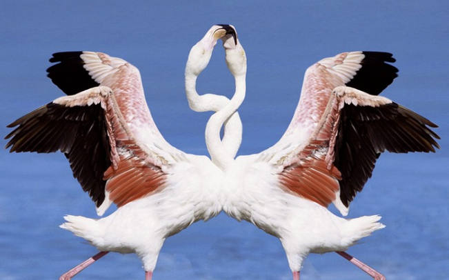 ���, ��������