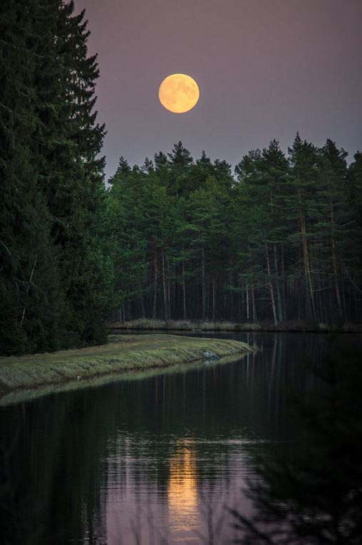 月之景