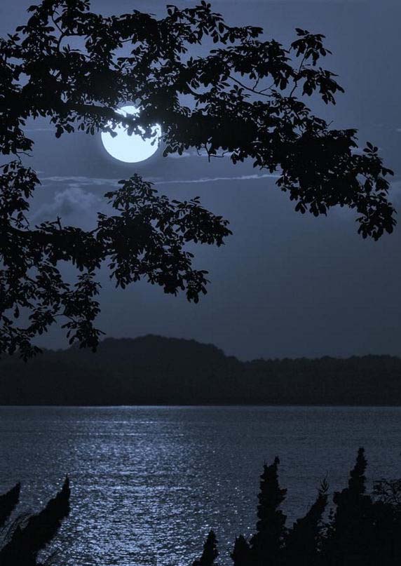 月之景