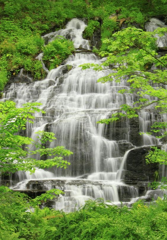 Король потока воды