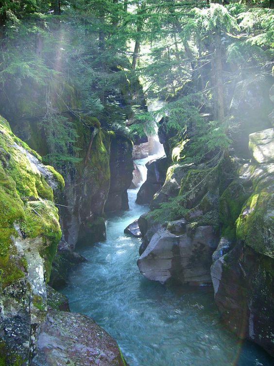 Король потока воды