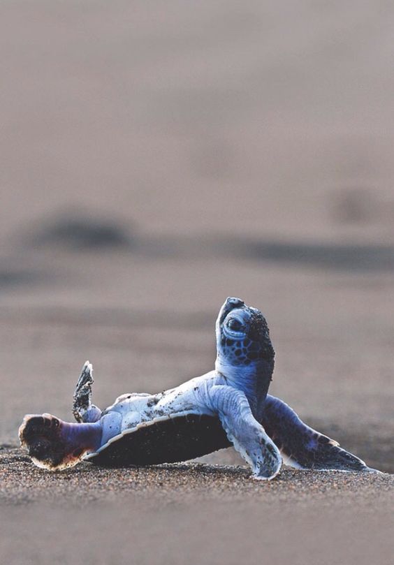 ��������� ��������