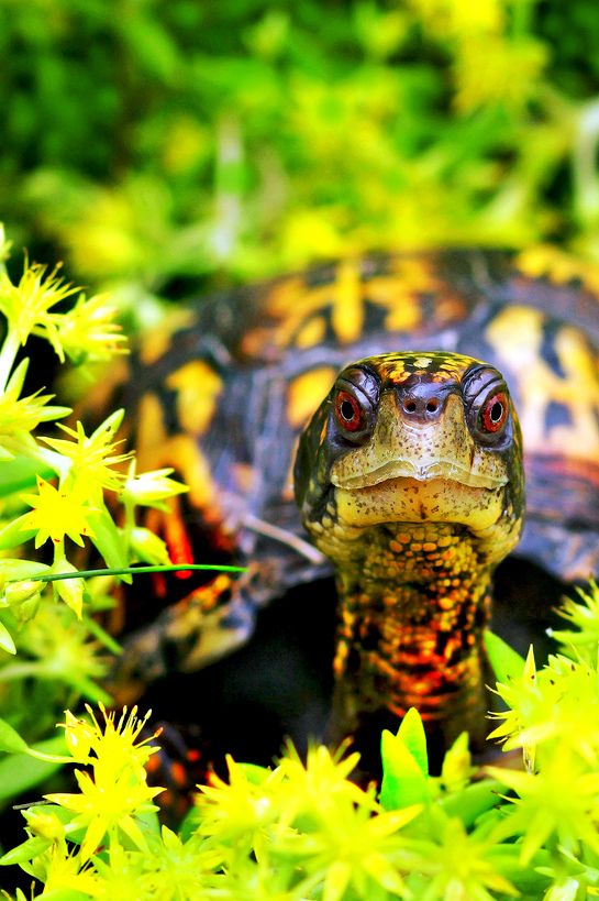 ��������� ��������