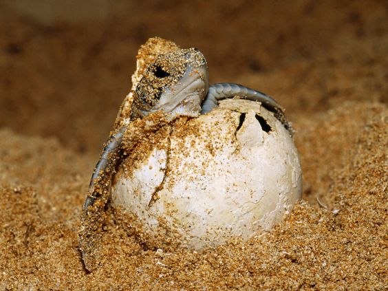 ��������� ��������