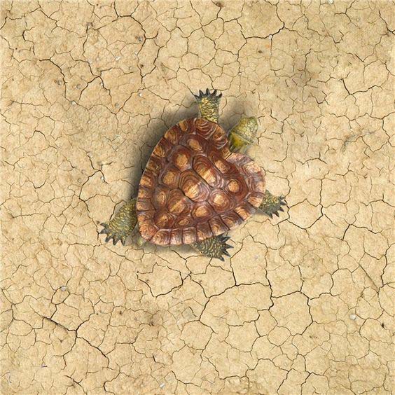 ��������� ��������