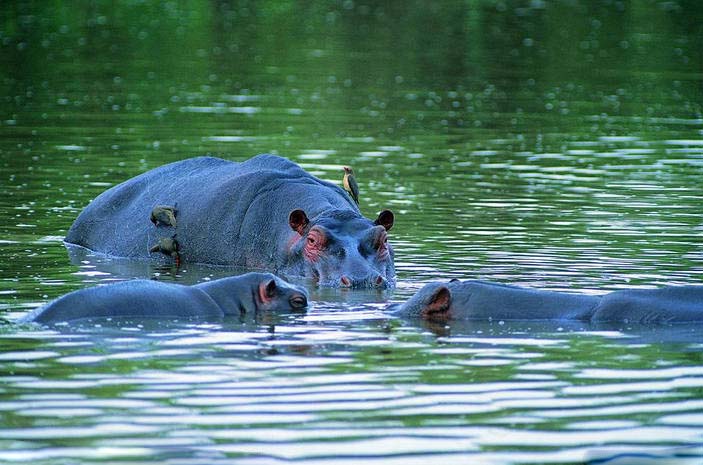 ����������