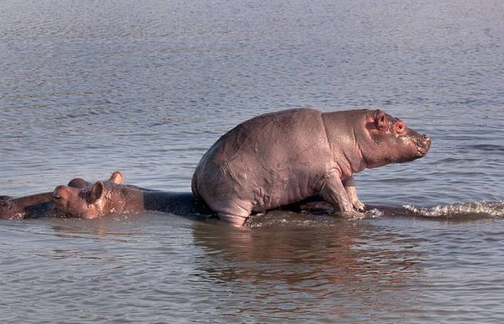 ����������