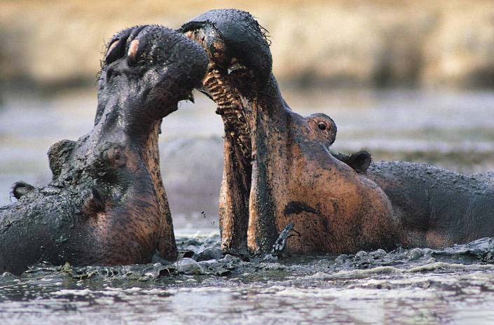 ����������