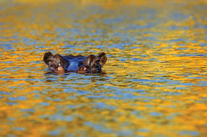 ����������