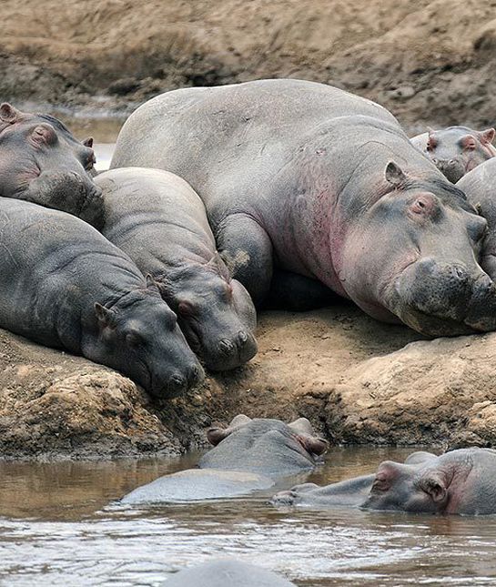 ����������