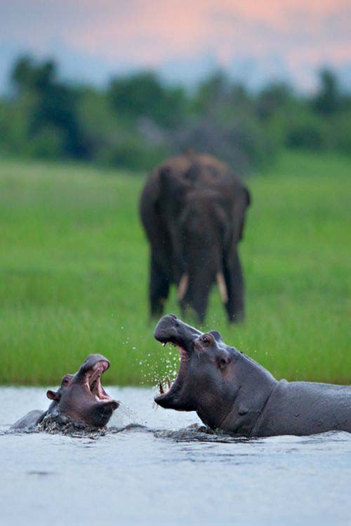 ����������