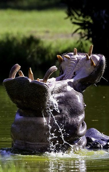 ����������