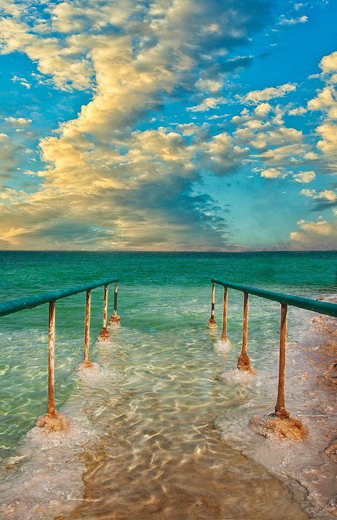 ������� ������� ������