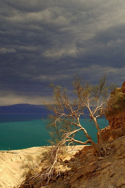 ������� ������� ������