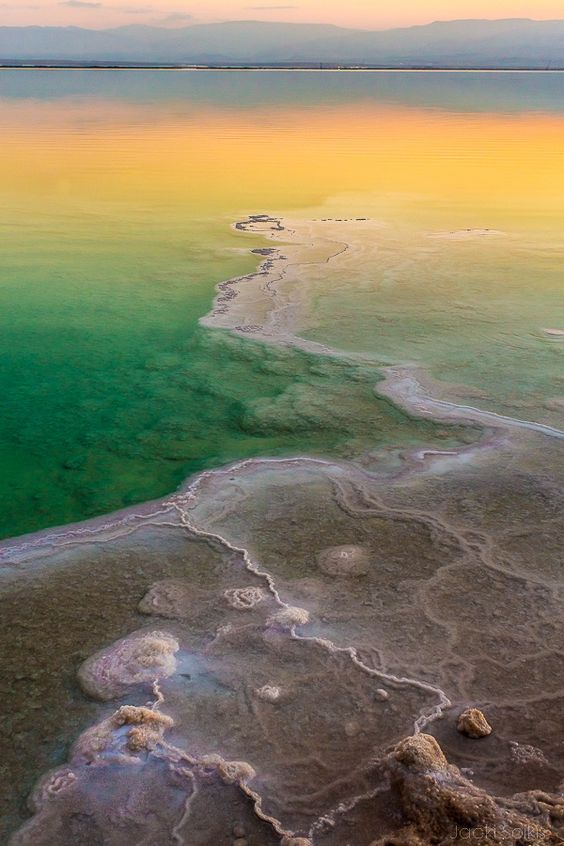 ������� ������� ������