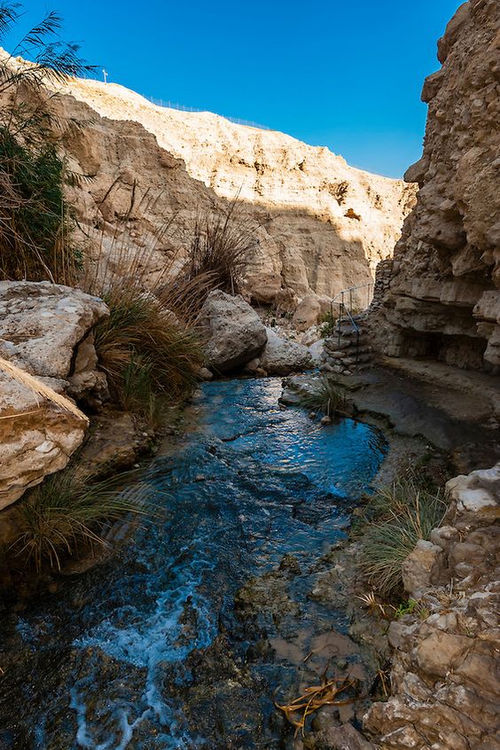 ������� ������� ������