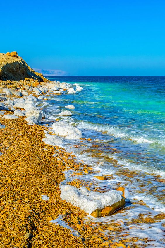 ������� ������� ������