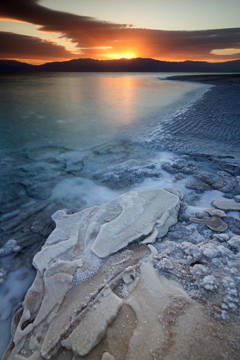 ������� ������� ������