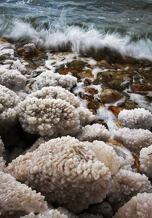 ������� ������� ������