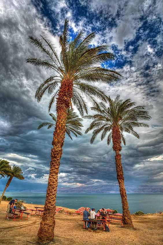 ������� ������� ������