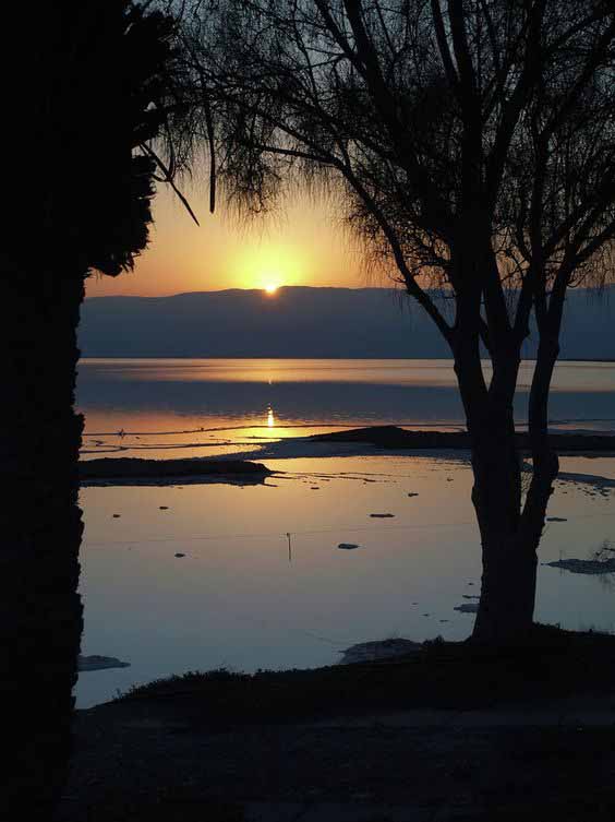 ������� ������� ������