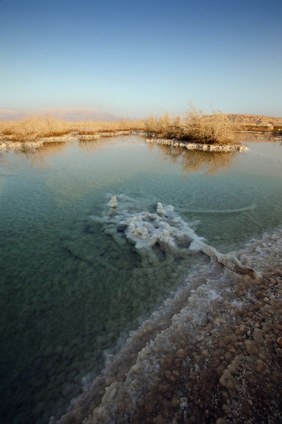 ������� ������� ������