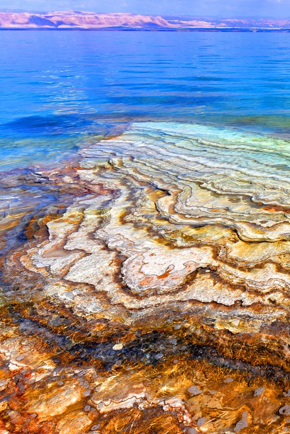 ������� ������� ������