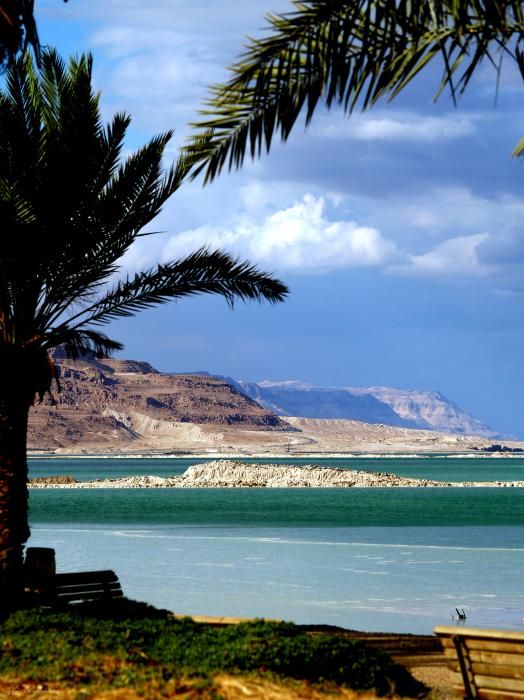 ������� ������� ������