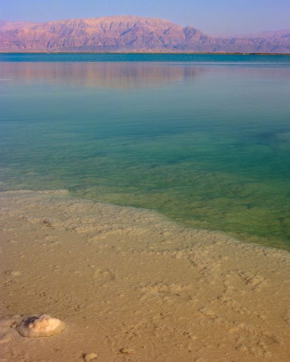 ������� ������� ������