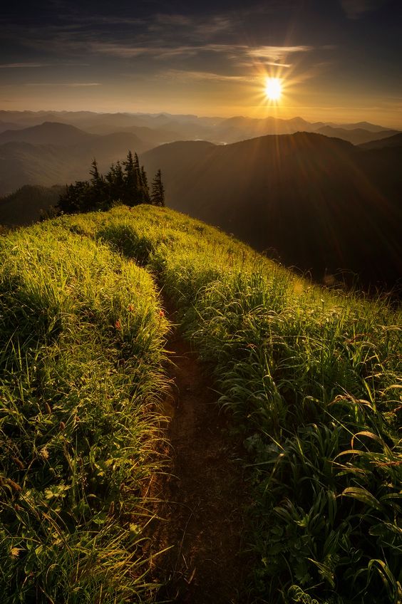 Alaska ���� ���� ������