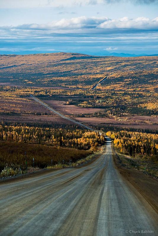 Alaska ���� ���� ������