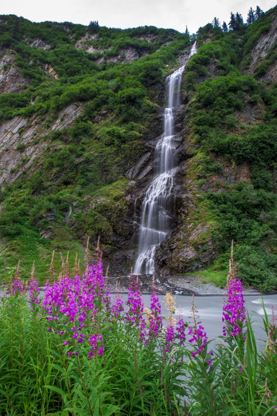 Alaska ���� ���� ������