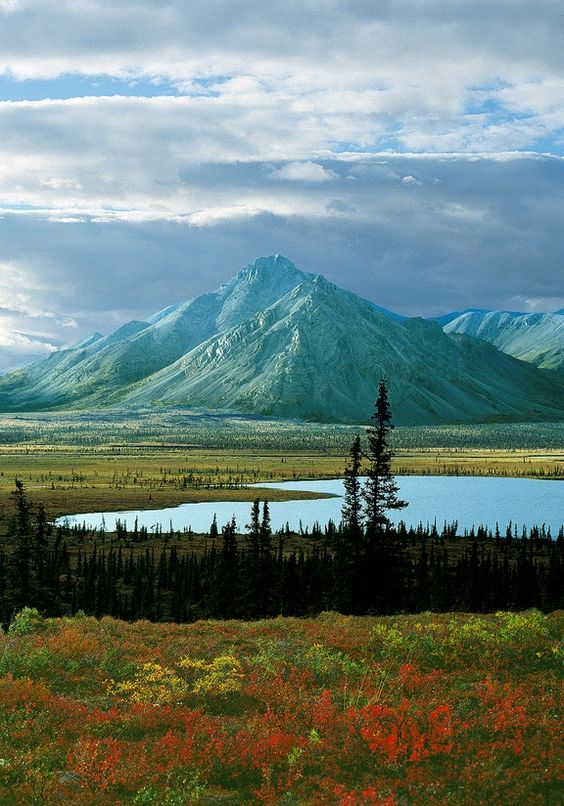 Alaska ���� ���� ������