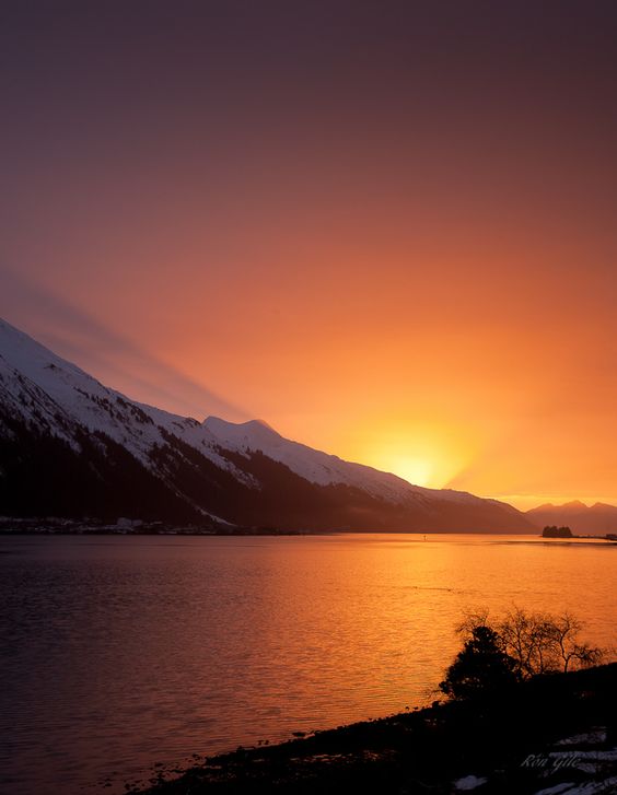 Alaska ���� ���� ������