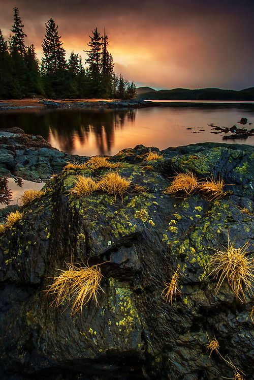 Alaska ���� ���� ������