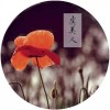 懂你，何需千言万语
