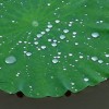 命 运 气 度 量