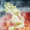 疯狂的白菜