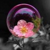 水滴印物
