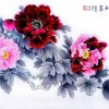 工笔牡丹