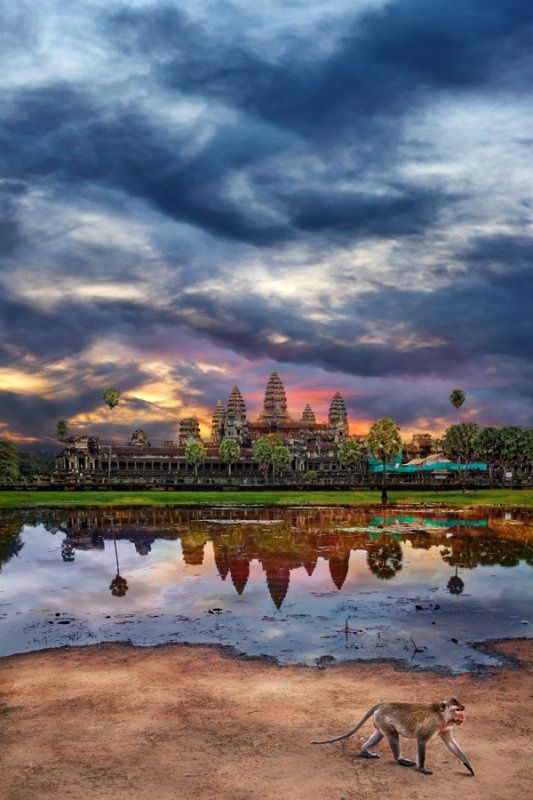 柬埔寨 吴哥窟角景