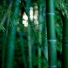 竹韵视听