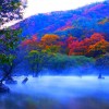 《秋来秋去》小提琴曲