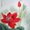 荷花画