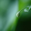 舍，养福；静，益寿