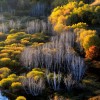 《红河谷》小号视听